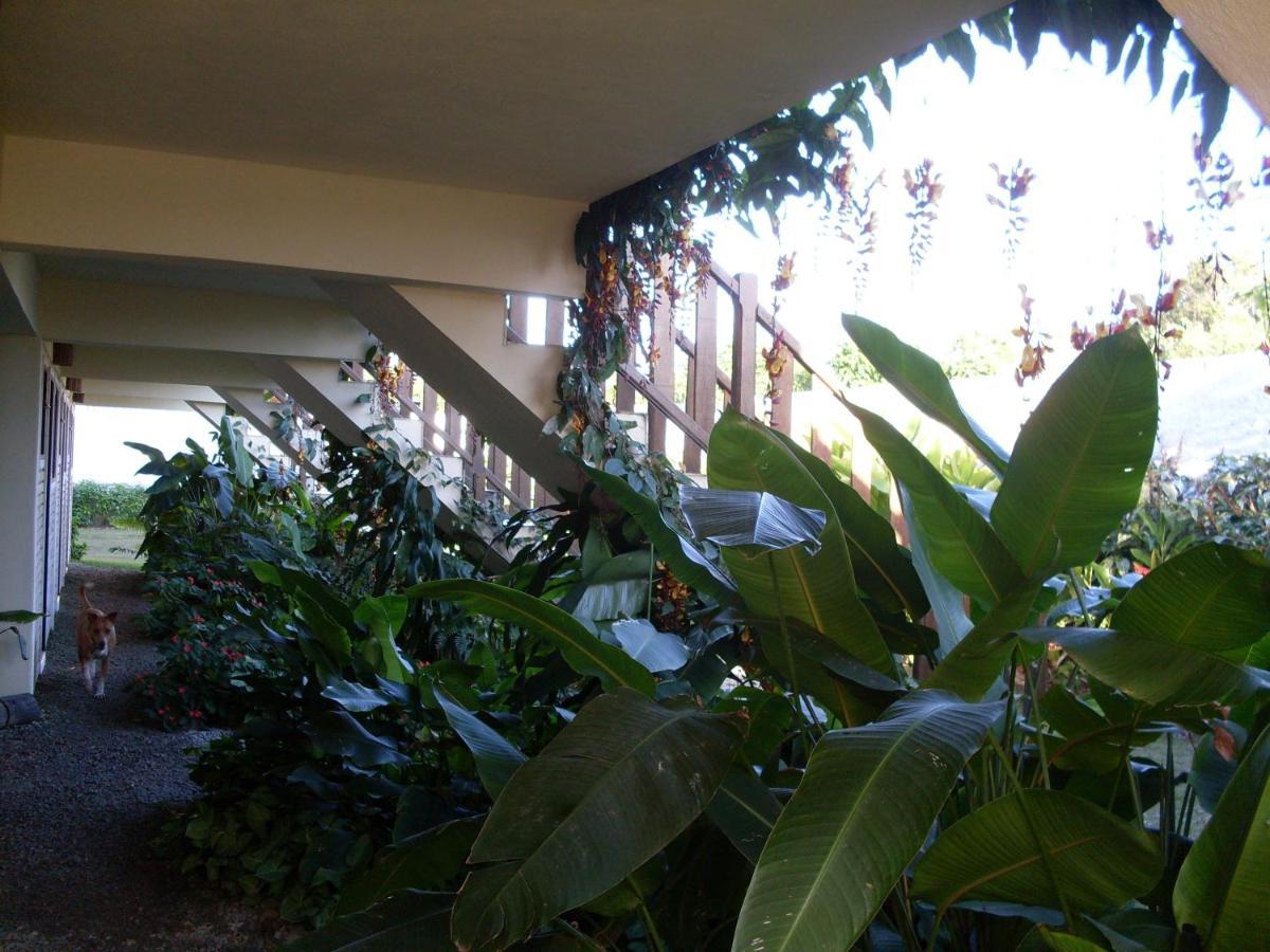 Casa de hóspedes Ancoradouro Praia de Boraceia